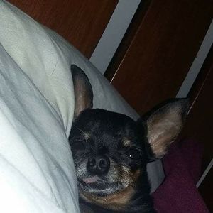 Meet your Posher, Michelle